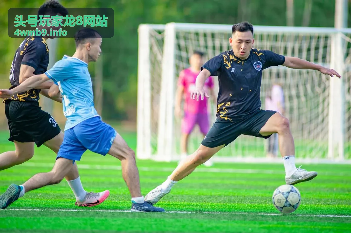 头号玩家龙8玩法导览封面